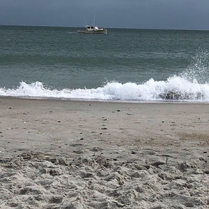 Meet your Posher, Eboni